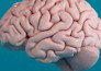 create 3d medical mechanism of action animation for drugs and treatments video